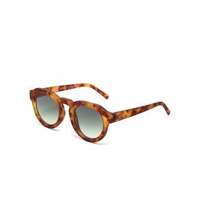 ZENO Sahara Havana - Lens Green