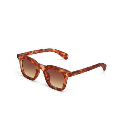 FIRENZE Brown
